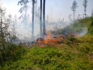 Lesní požár v Tatrách