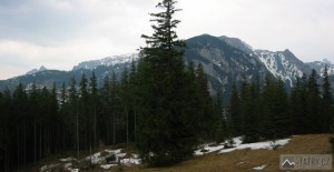 Výhled z Polany Niźnie Stoły na Giewont a Červené vrchy