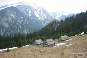 Pohled z polany do Doliny Kościeliska, v pozadí Červené vrchy - Temniak a Polská Tomanová