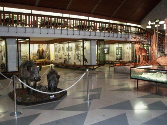 Muzeum TANAPu